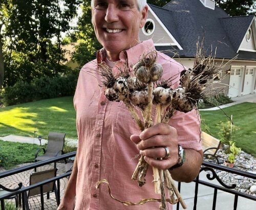 Greg Hillebrand holds garlic he just harvested.