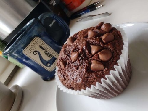 Muffin and coffee cup at Nordic Pineapple B&B