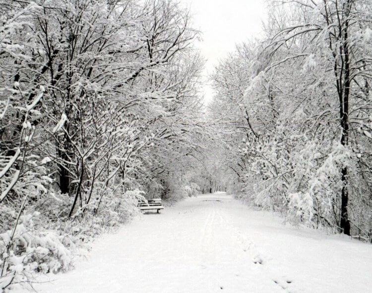 Paint Creek Trail with new-fallen snow