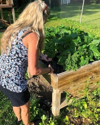 Innkeeper Jan Smith snips parsley from a raised planting bed for use in a breakfast dish.