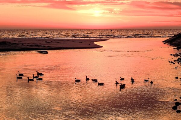 CandleLite-Inn-Ludington-1058-A