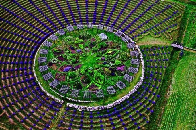 Lavender and herb labyrinth at Cherry Point Farm and Market, an attraction visited by many Up North Michigan visitors.