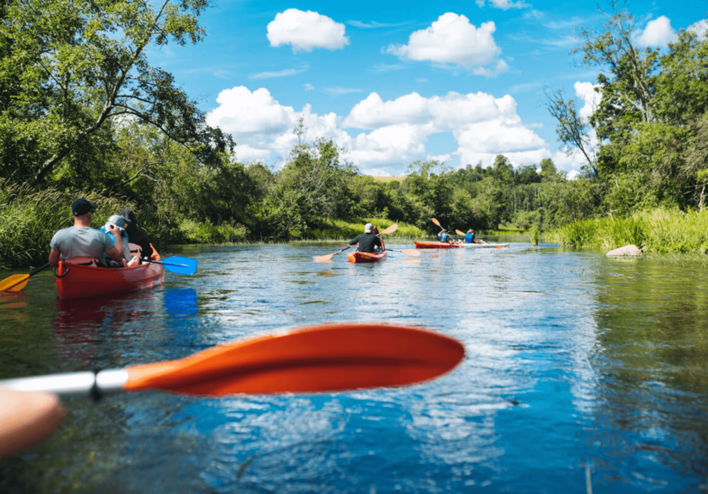 Kayaking on the river with greenery on sides