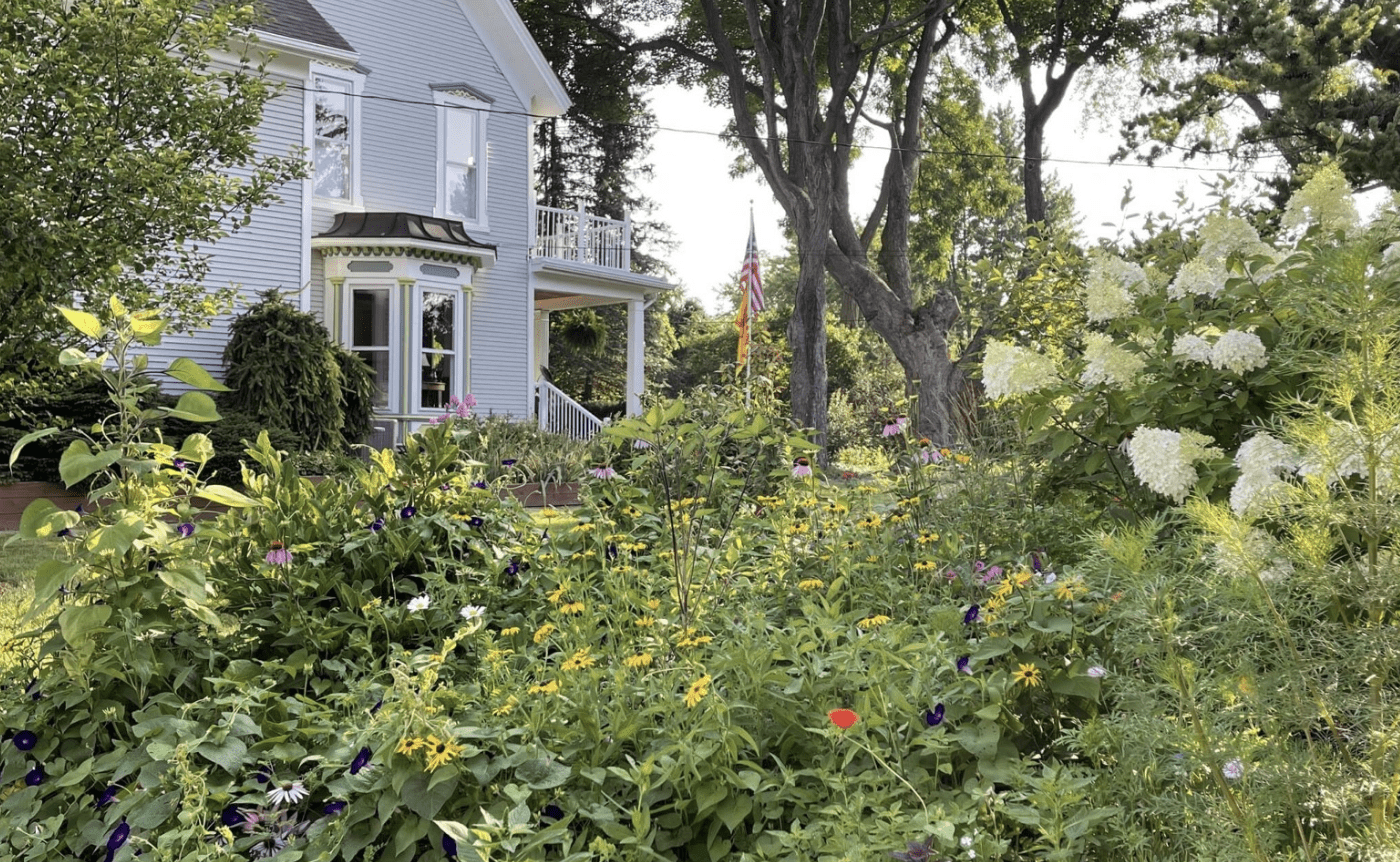 Blooming flowers in from of a grey historic farmhouse