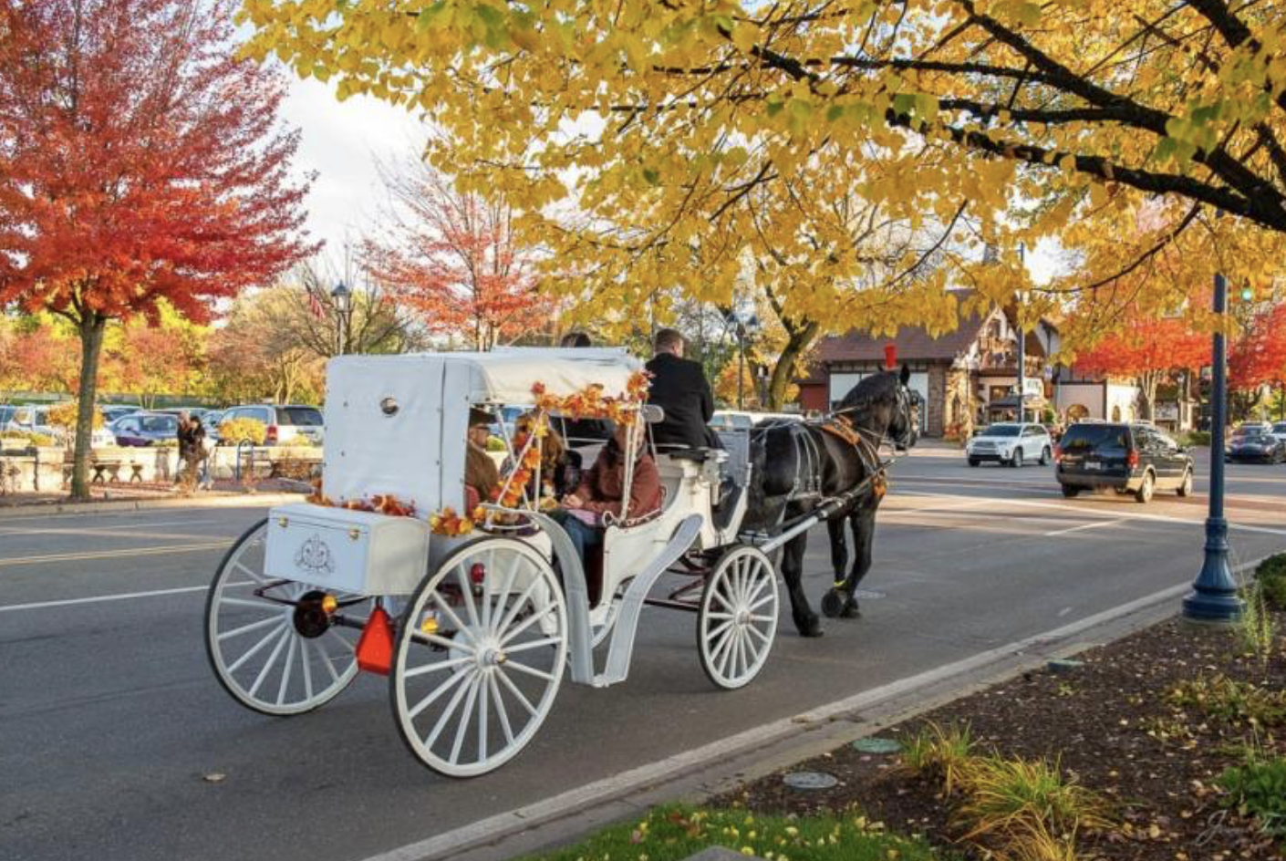 White horse drawn carriage in Frankenmuth