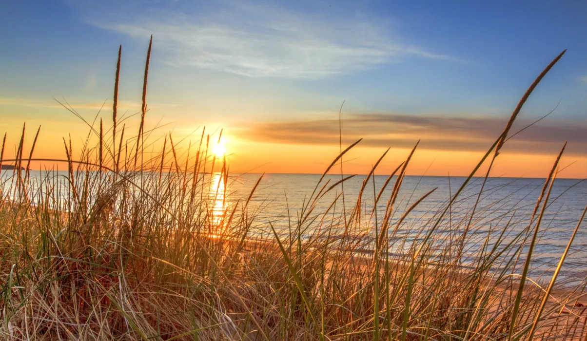 A Michigan Beach