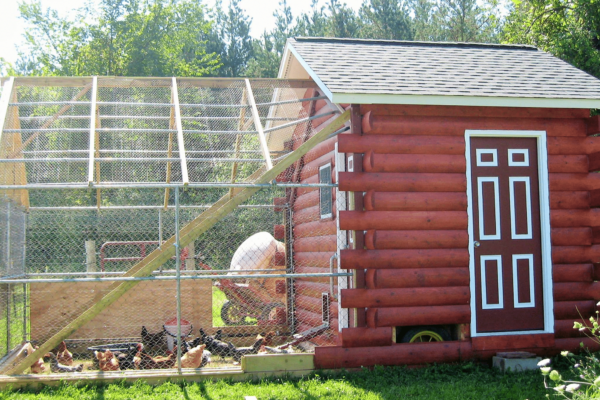Red log cabin chicken coop at A Dove Nest B&B in Kingston