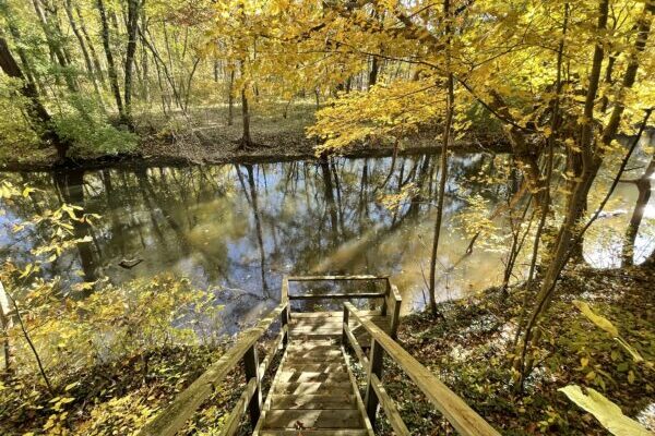 Goldberry-woods-Union-Pier-Rivers_Edge_FallColors_1004
