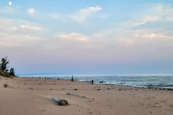 Beach in Ludington with blue skies