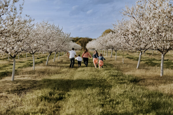 Roming Roost Suttons Bay Spa and Wellness
