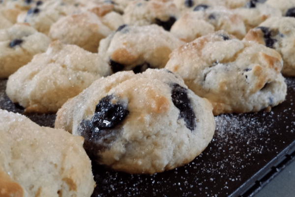 Victoria-Resort-South_Haven-Blueberry-Muffin