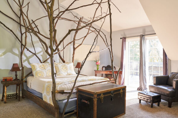 goldberry-woods-Union-Pier Hornberry-room-9539