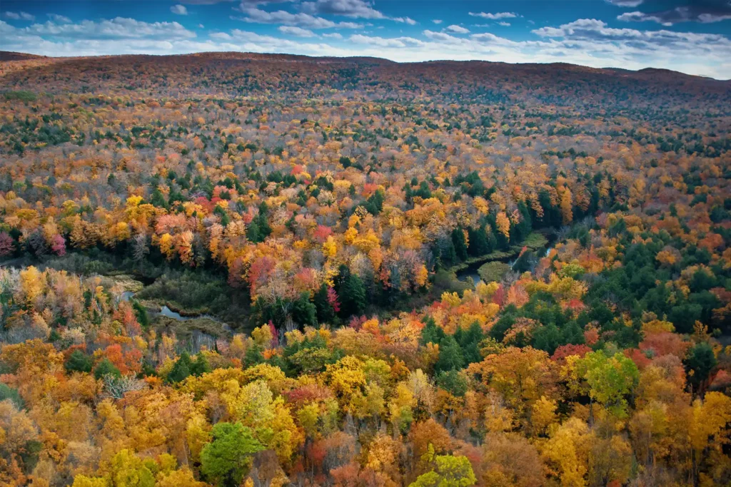 Michigan landscape in the fall, seen from an aerial view