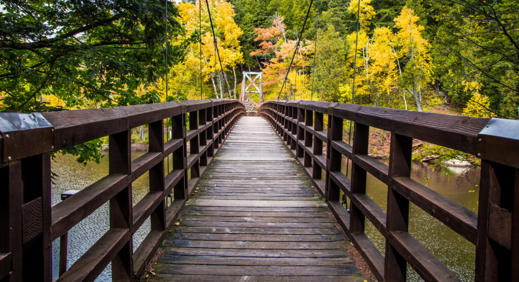 Wooden walking bridge with fall colors