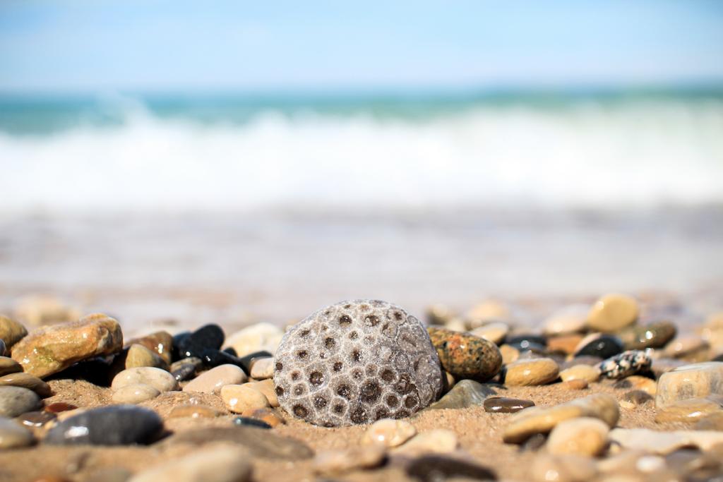 Petoskey stone on the beach with waves in the background