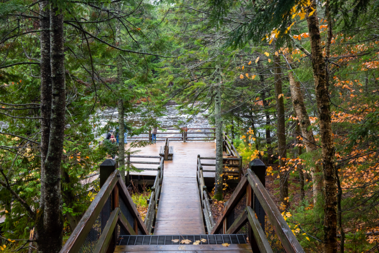 Wooden staircase down to the water in the Upper Peninsula