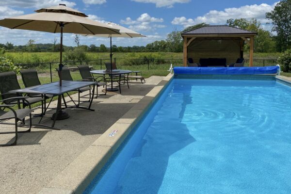 The-Vine_BnB-Dundee-Mi-IMG_0502-a