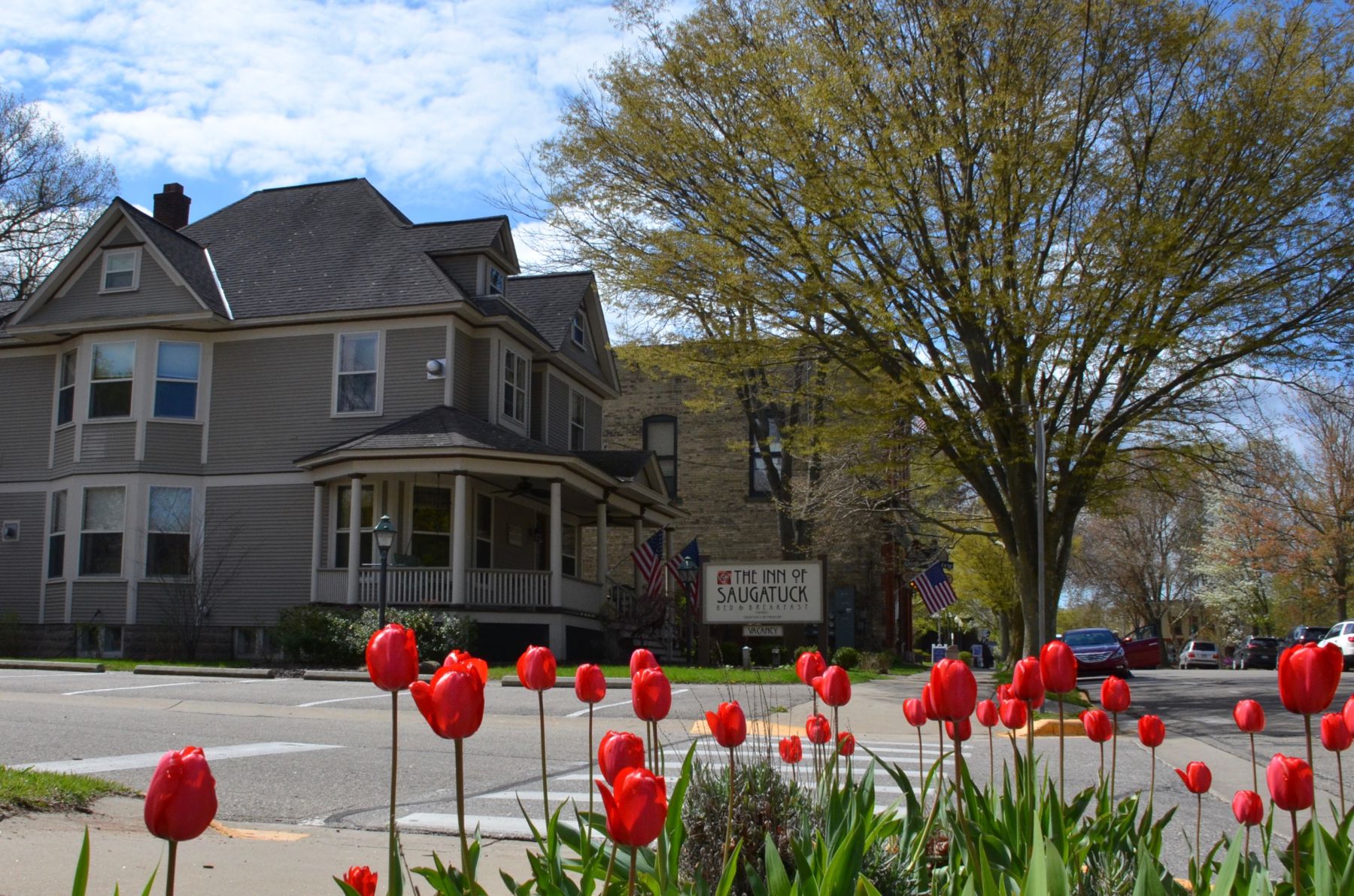 Tulips at the Inn of Saugatuck